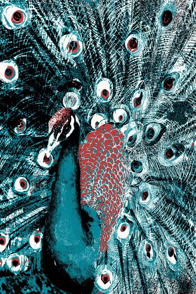 Hindenburg Peacock illustration